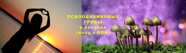 молекула духа Аркадак