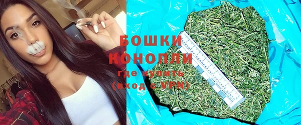 молекула духа Аркадак