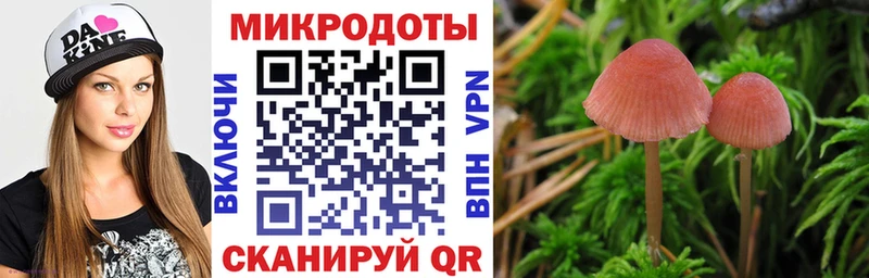 Псилоцибиновые грибы Magic Shrooms  закладки  Ревда 