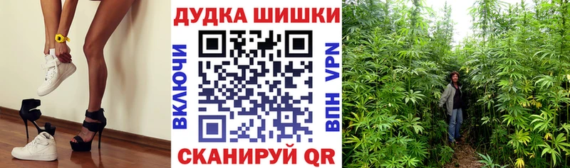 как найти закладки hydra онион Бошки марихуана OG Kush Ревда